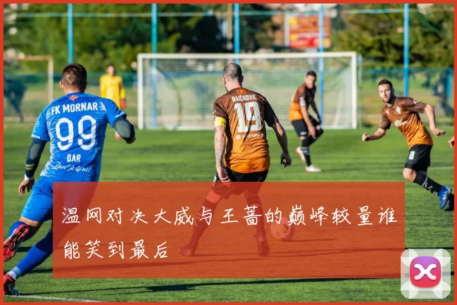 温网对决大威与王蔷的巅峰较量谁能笑到最后