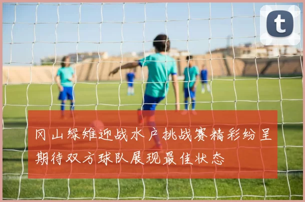 冈山绿雉迎战水户挑战赛精彩纷呈期待双方球队展现最佳状态
