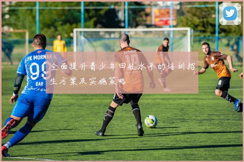 全面提升青少年田径水平的培训招生方案及实施策略